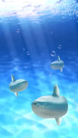 Game screenshot Aquarium Sunfish simulation game apk