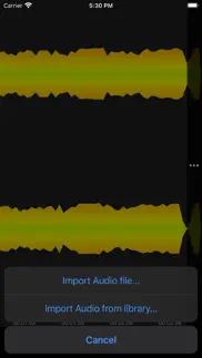 wave audio editor iphone screenshot 4
