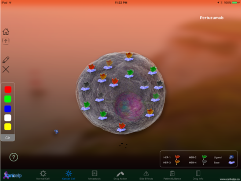 Pertuzumab screenshot 2