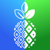 Before After foto video effect - Ringtones LLC