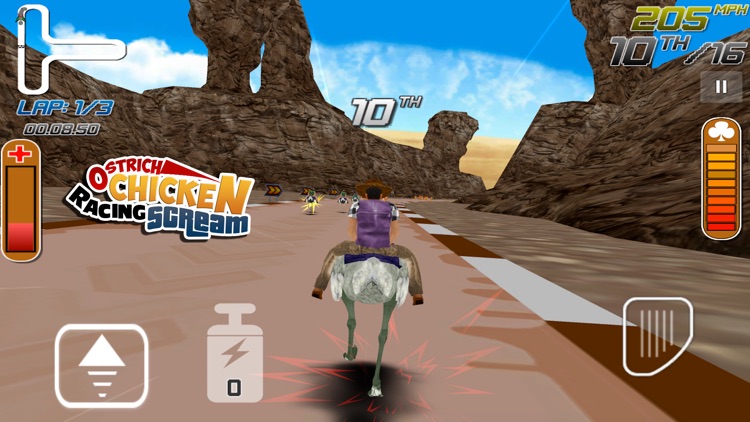 Ostrich Chicken Racing screenshot-4