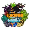 Blackfish Marine - iPhoneアプリ