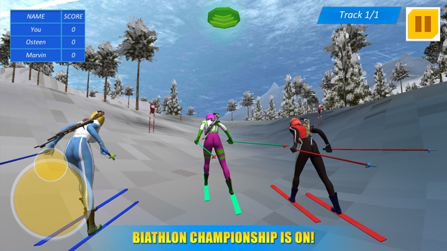 Biathlon Winter Sports 3D