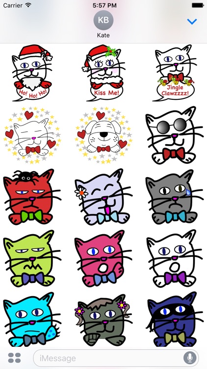Catzzzz