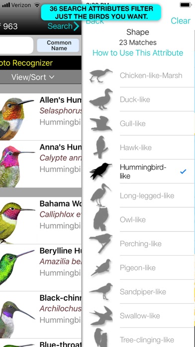 iBird Pro Guide to Birds Screenshot