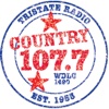 Country 107.7 WDLC