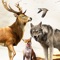 Wild Hunter Sniper 3D - Deer Hunting 2017