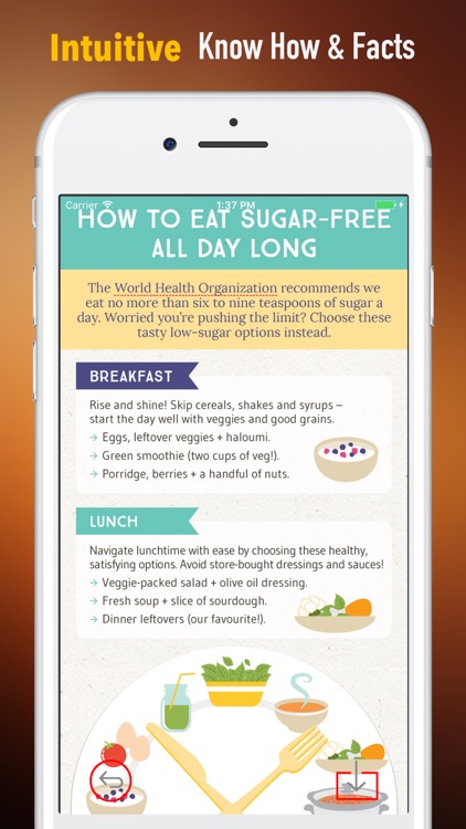 Sugar-Free Lifestyle-Ketogenic Diet Guide and Tips