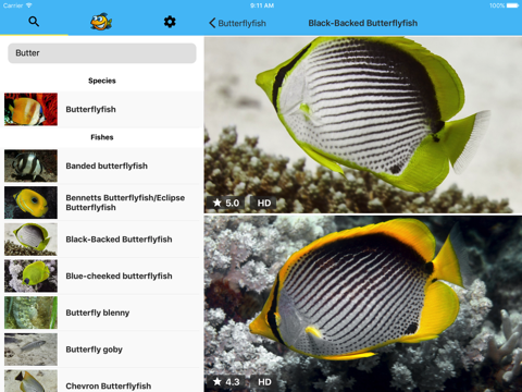 fishpixl screenshot 3