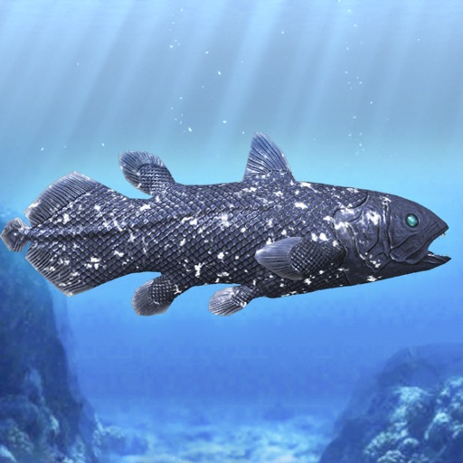 Coelacanth and ancient fish