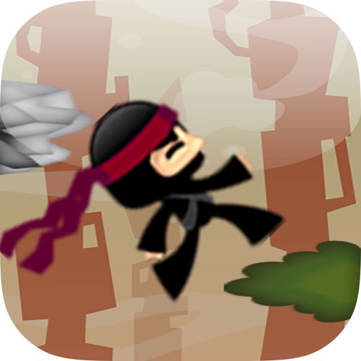 Ninja Sprung LT icon