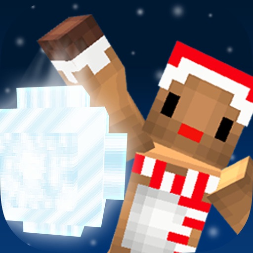 Winter Snowball Fight icon