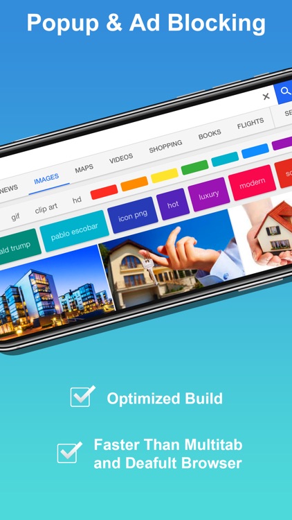 Snowbunny Private Web Browser
