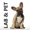 Lab&Pet Resultados