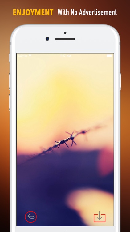 Wire Wallpapers HD-Quotes and Art Pictures