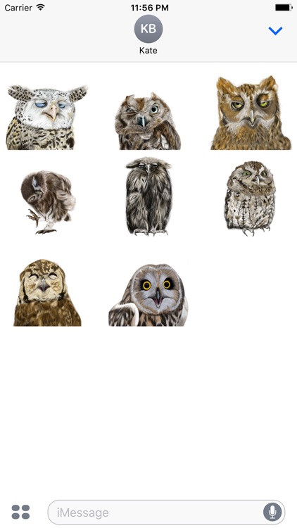 Owl - Daily Moods