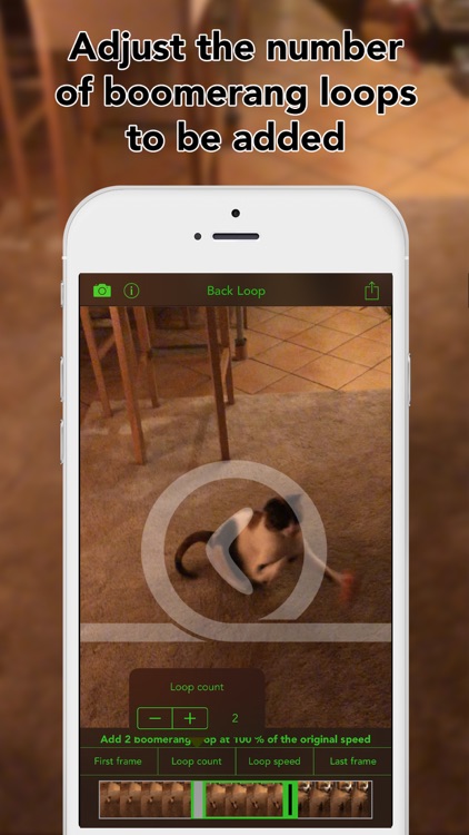 Back Loop screenshot-3
