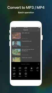 mp4plus converter pro iphone screenshot 2