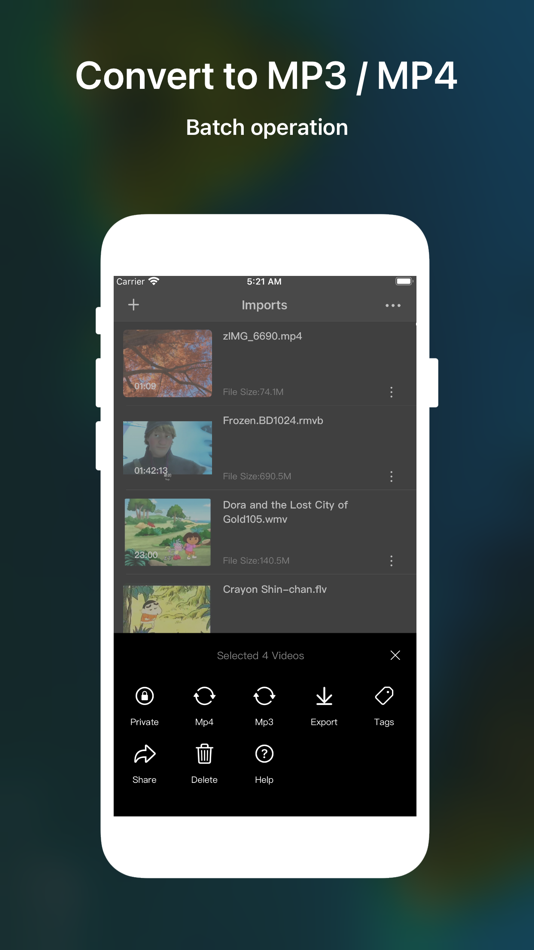 #2. MP4Plus converter PRO (iOS) 게시자: 汝泉 张