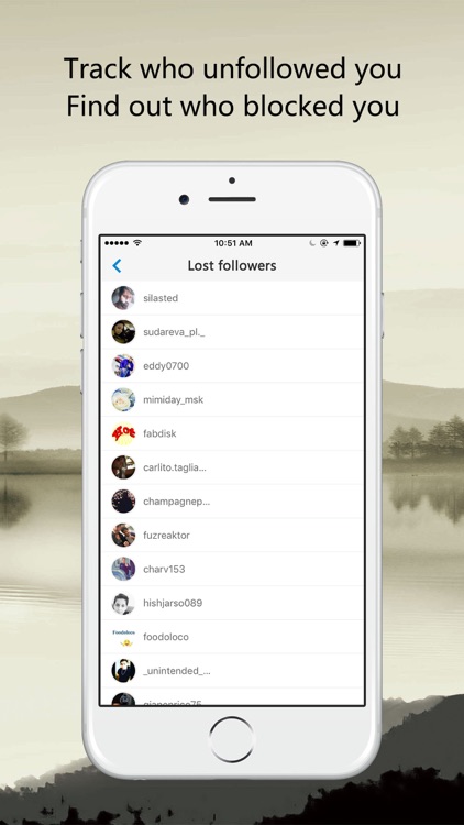 Likes & Followers Analytics Report for Instagram