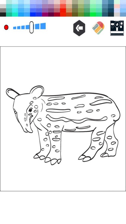 Coloring Page and Paint Tapir