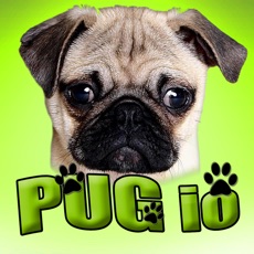 Activities of Pug io (opoly)