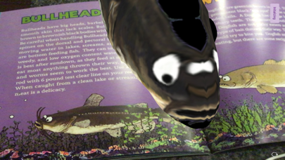 How To Fish AR Screenshot