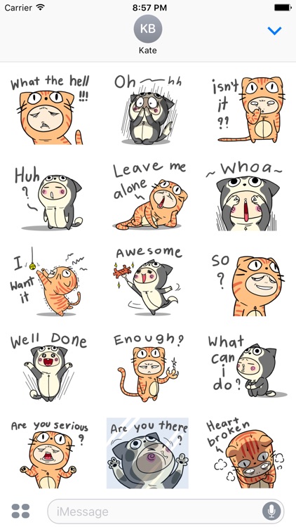 Amber Dog & Angel Cat. Stickers by Design73