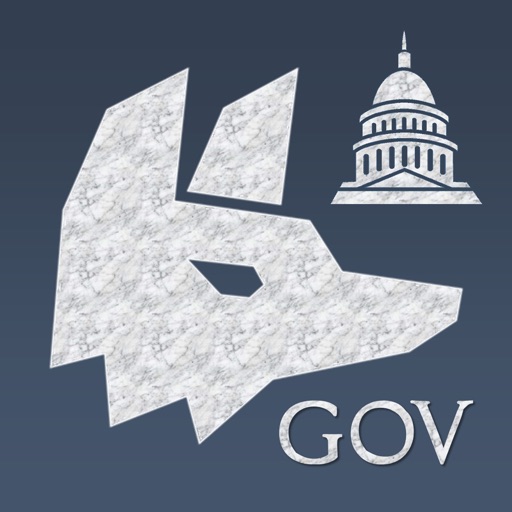 AP Government Review icon