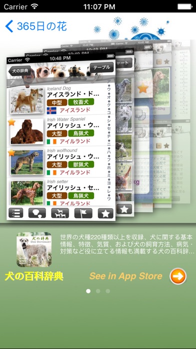365日の花 screenshot1