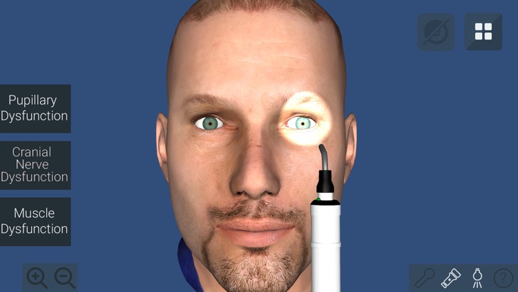 Anu Reality EyeSim Mobile 2