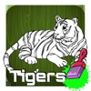 Tigers Coloring Game For Toddle