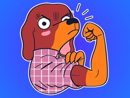 Funny Dachshund Stickers