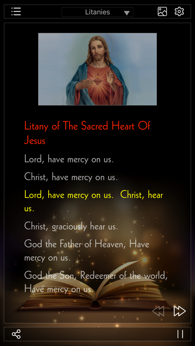 Catholic Apps (Rosary, Divine Mercy, Prayer)のおすすめ画像5