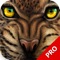Ultimate Predator:Wild Cheetah Attack 3D