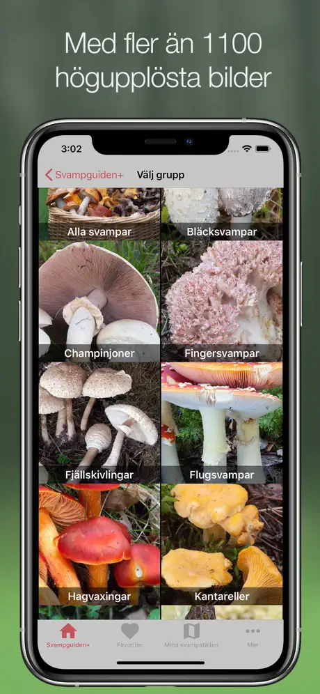 Svampguiden+