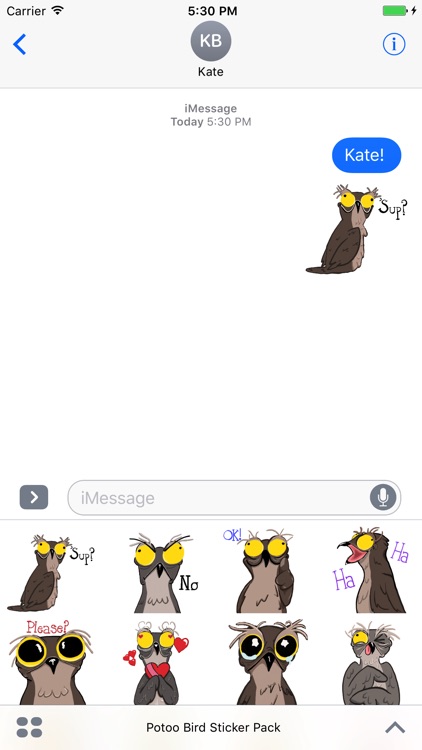 Potoo Bird Sticker Pack