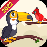 Bird Sort Puzzle Game