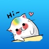 Colorful Hamster