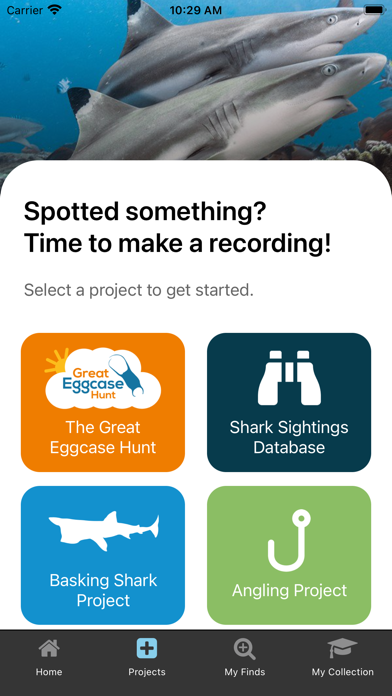 The Shark Trust Screenshot