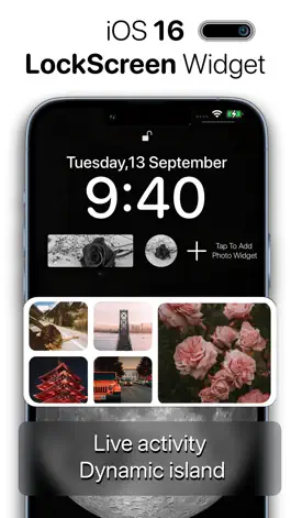 Game screenshot Photo Widget - Picture Collage mod apk