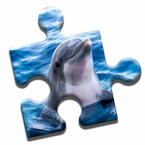 Dolphin Love Puzzle Icon