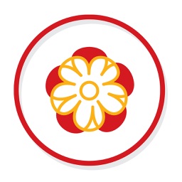 Chinese New Year Pack - Spring Festival Fun