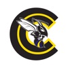 Foreman Hornets icon