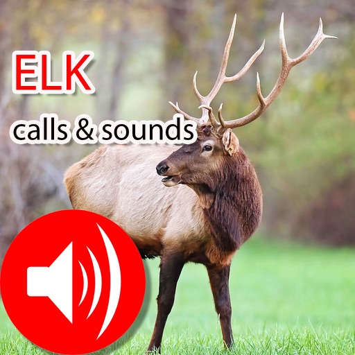 Elk Real Hunting Calls & Sounds icon