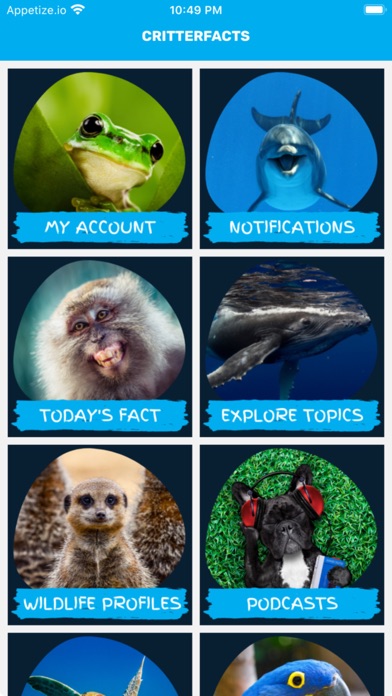 CRITTERFACTS Screenshot