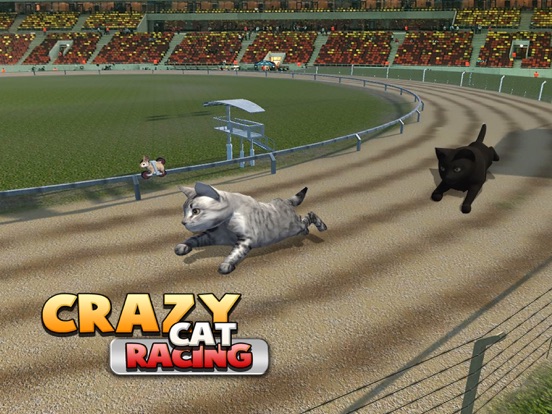 Screenshot #5 pour Jeu gratuit de course de chat