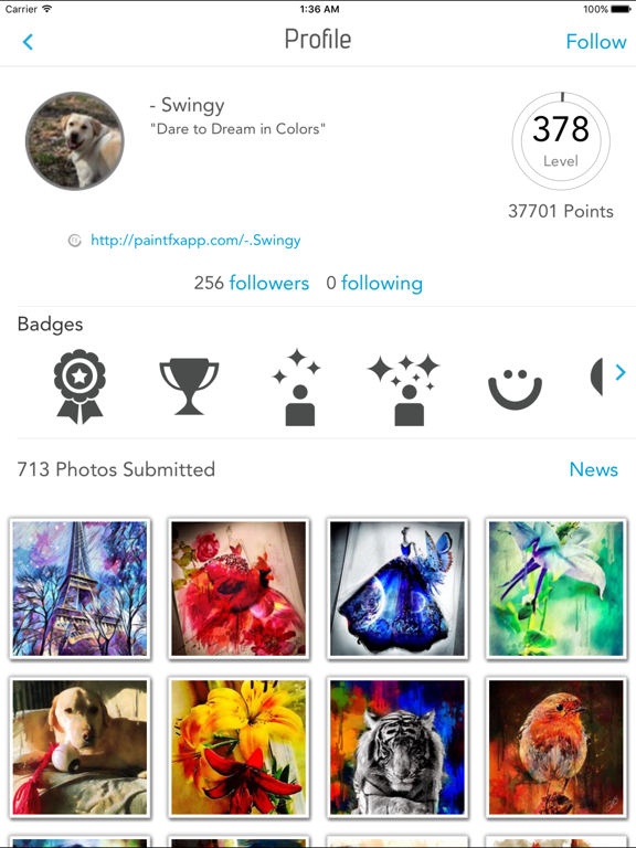 Paint FX : Photo Effects Editor iPad screenshot 4 - Photo & Video app