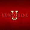 Wings Xtreme problems & troubleshooting and solutions