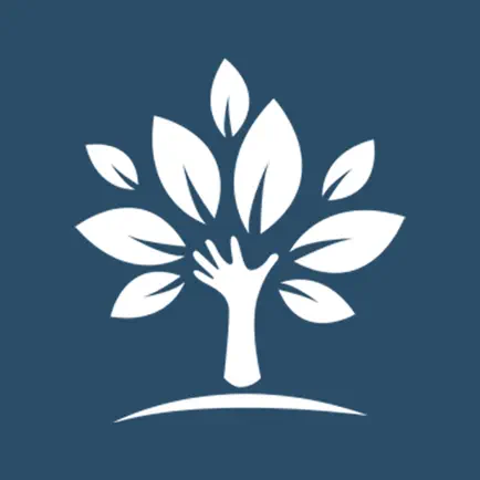 CATALYST E-LEARNING Читы